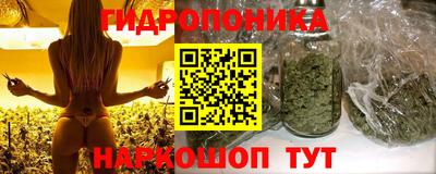 стафф Коммунар