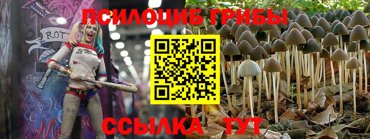 MDMA  Вход с VPN  КОКАИН  Вейп ТГК  Бошки Шишки  ГАШ  Ишим  Меф  
