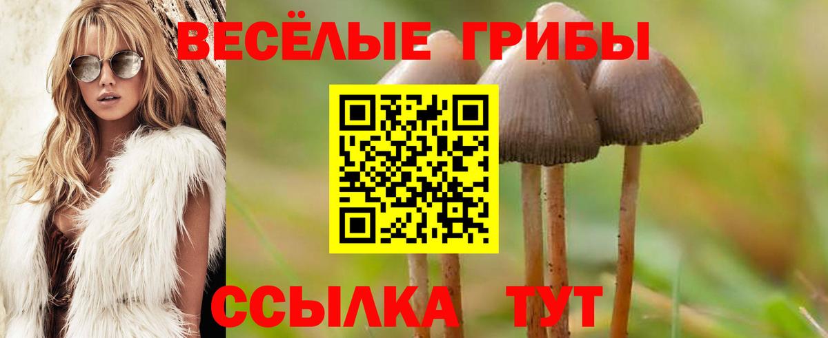 как найти закладки  Псилоцибиновые грибы ЛСД  Вход с VPN  Псилоцибиновые грибы мухоморы  Ишим 